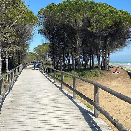 Apartment Flat In With Swimming Pool And Balcony Bibione