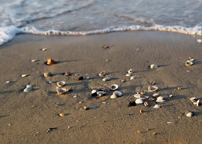 Flat In With Swimming Pool And Balcony بيبيوني