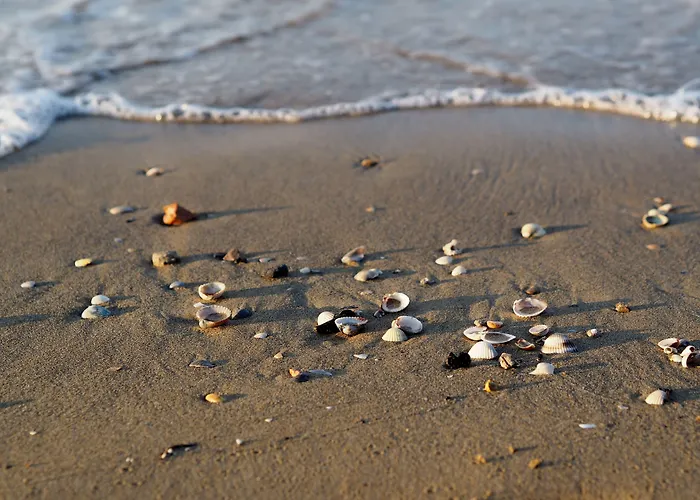 شقة Flat In With Swimming Pool And Balcony *